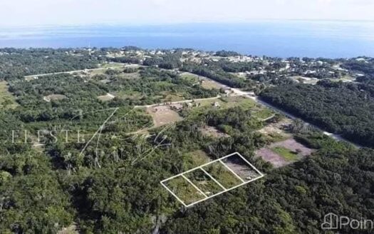 Four Titled Lots – Ready for Building, Consejo Area