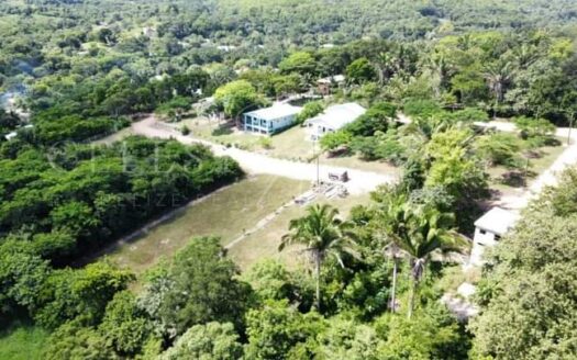 1/4 Acre Property in Bullet Tree – A Tranquil Paradise Awaits