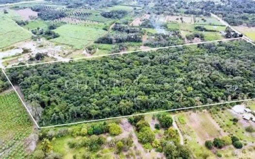 20 Acres 1/4 Mile From to Corozal Town