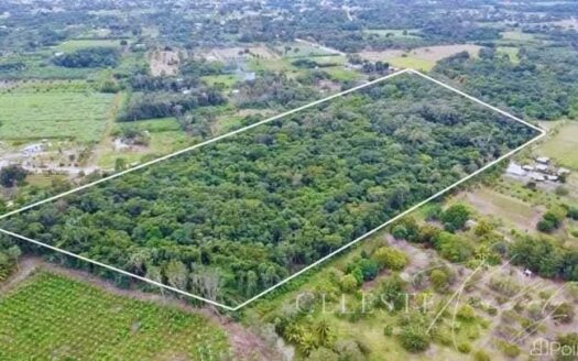 20 Acres 1/4 Mile From to Corozal Town