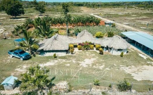 Consejo Ranch – 60 Acres Near the Sea