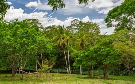 O.43 Acres Of Jungle Lot, San Ignacio, Cayo