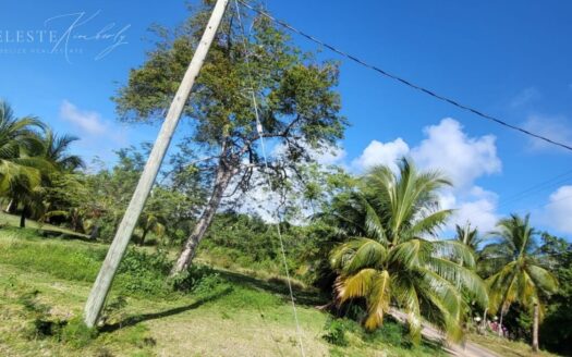 Prime Corner Lot in Finca Solana – 654.17 Sq. Yards, Corozal