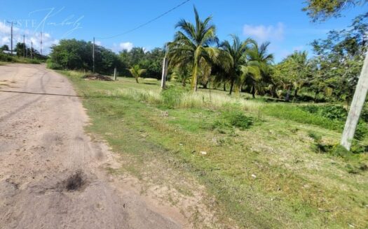 Prime Corner Lot in Finca Solana – 654.17 Sq. Yards, Corozal