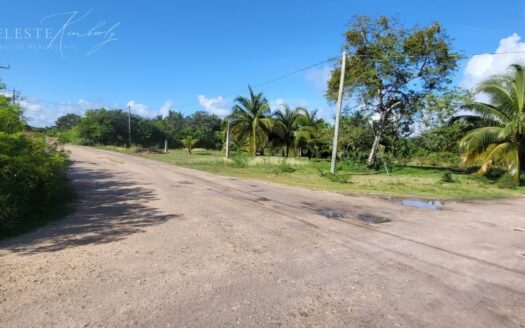 Prime Corner Lot in Finca Solana – 654.17 Sq. Yards, Corozal