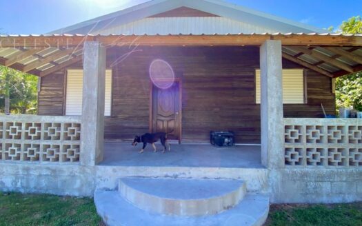 Oasis Cabin on Consejo Road: Your Perfect Retirement Haven