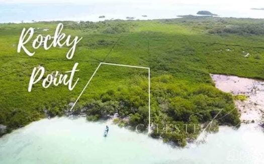 Waterfront property  Rocky Point Sarteneja
