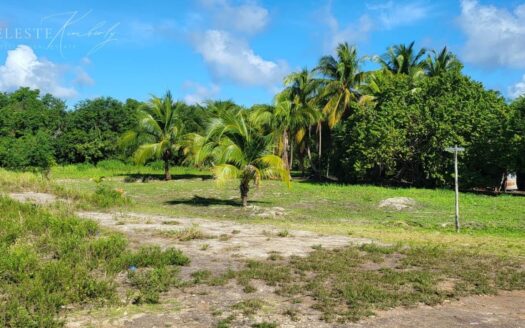 Prime haven lot 833.33 Square Yard Finca Solana, Corozal