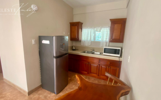 Income-Producing 4-Unit Multiplex in Rapidly Growing Finca Solana