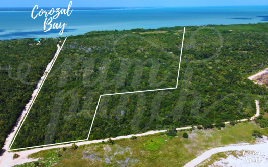 112.32-Acre Seafront Property Near Cerros Sands – Prime Investment Opportunity!