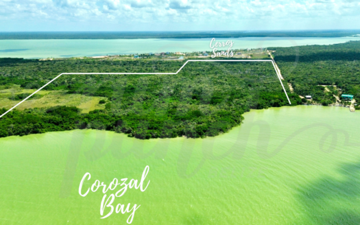 112.32-Acre Seafront Property Near Cerros Sands – Prime Investment Opportunity!