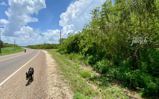 4.9 Acres – Prime Highway Frontage Land Near Corozal Border