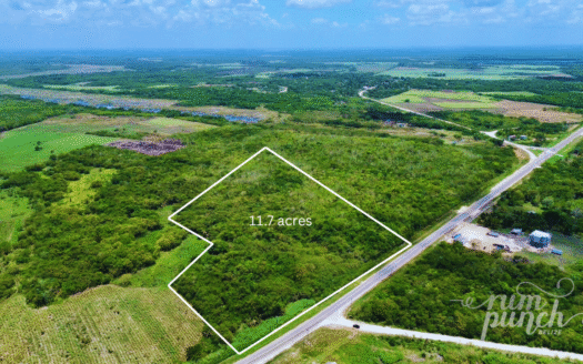 11.7 Acres Along Highway – Prime Location Near Corozal Border