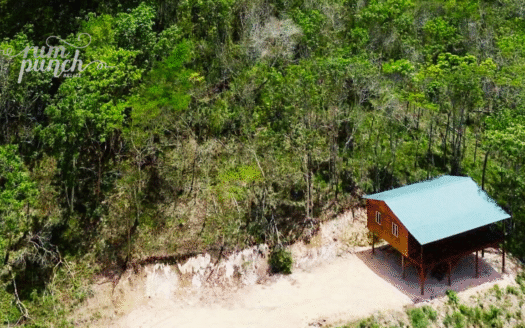 Two Off-Grid Homes near Macal River