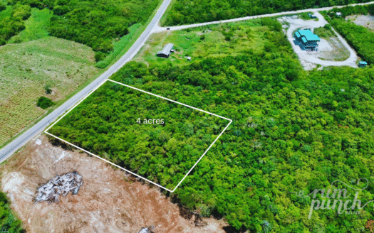 4.9 Acres – Prime Highway Frontage Land Near Corozal Border