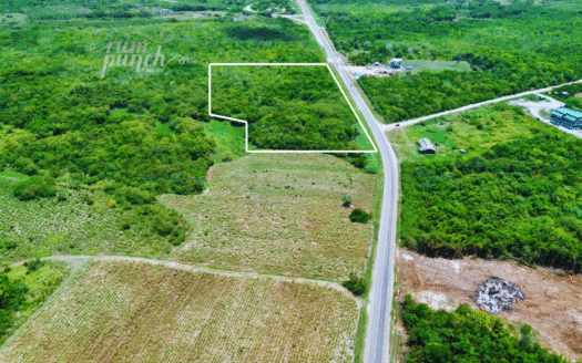 11.7 Acres Along Highway – Prime Location Near Corozal Border