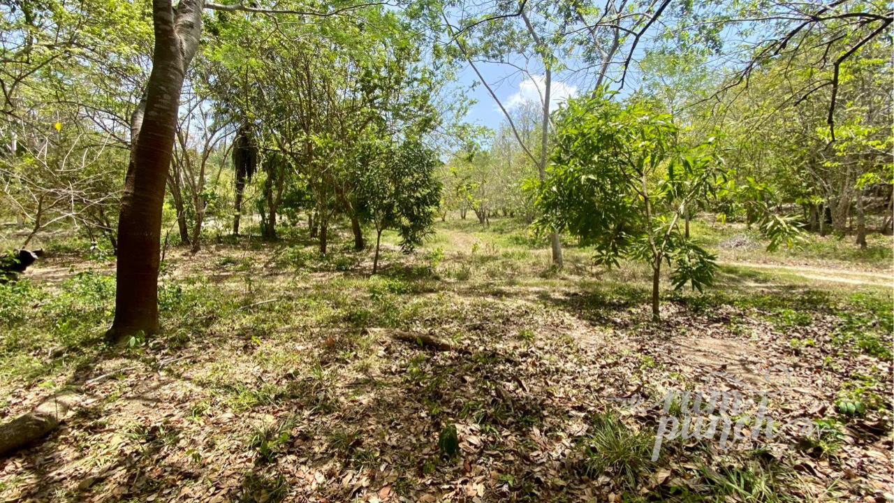 Lot 24 - Hilltop Paradise with River and Mountain Views (0.74 Acres)