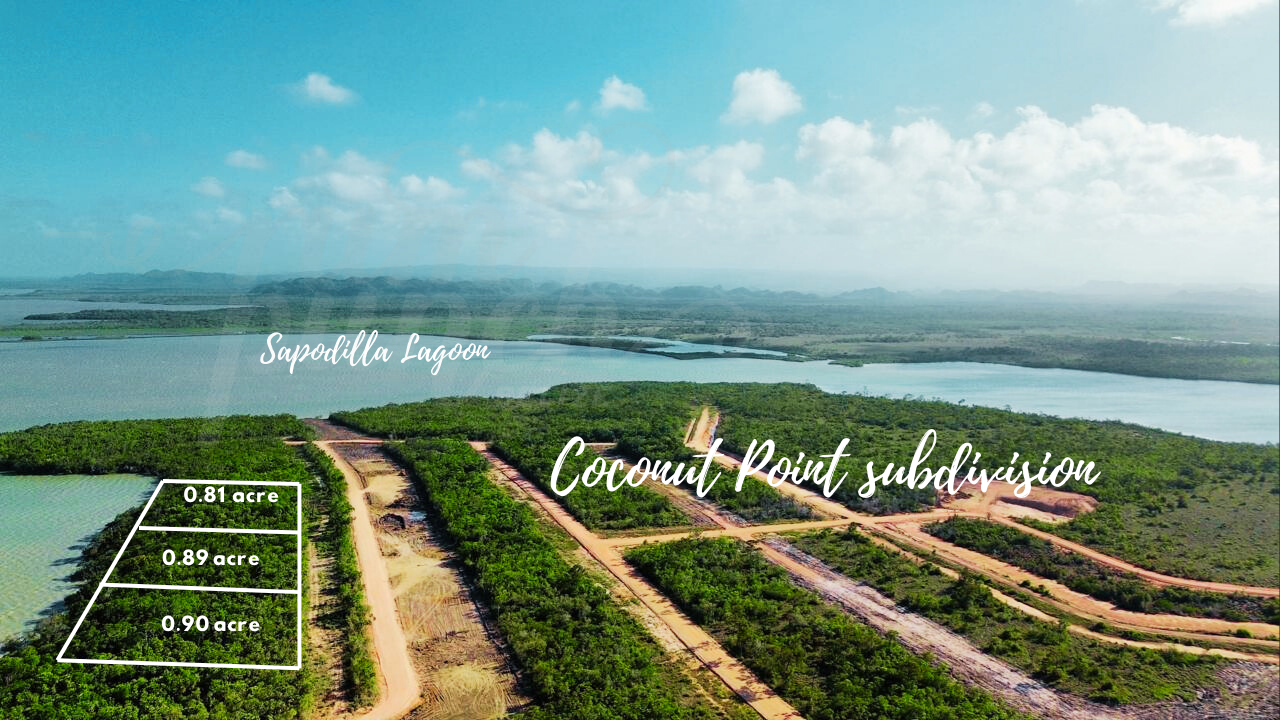Gorgeous Waterfront Lots for Sale in Coconut Point, Belize District