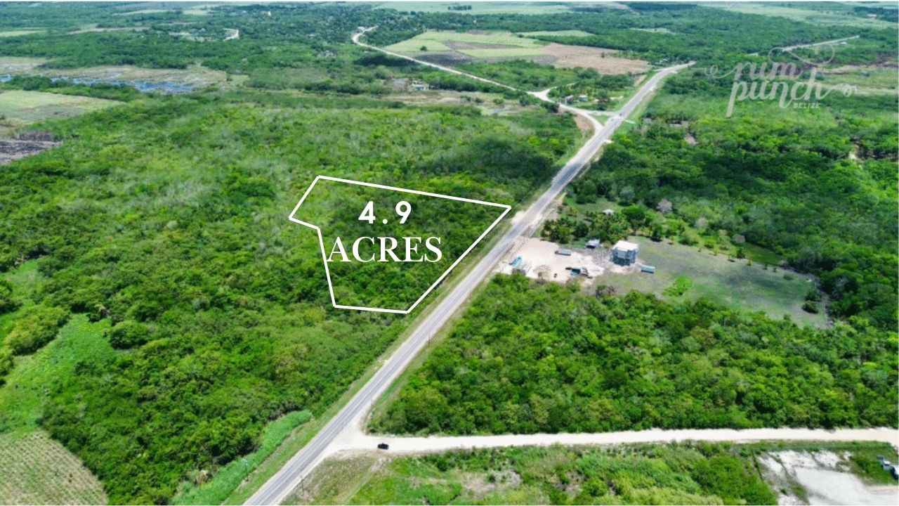4.9 Acres Along Highway – Prime Location Midway Between Corozal Town and the Belize-Mexico Border