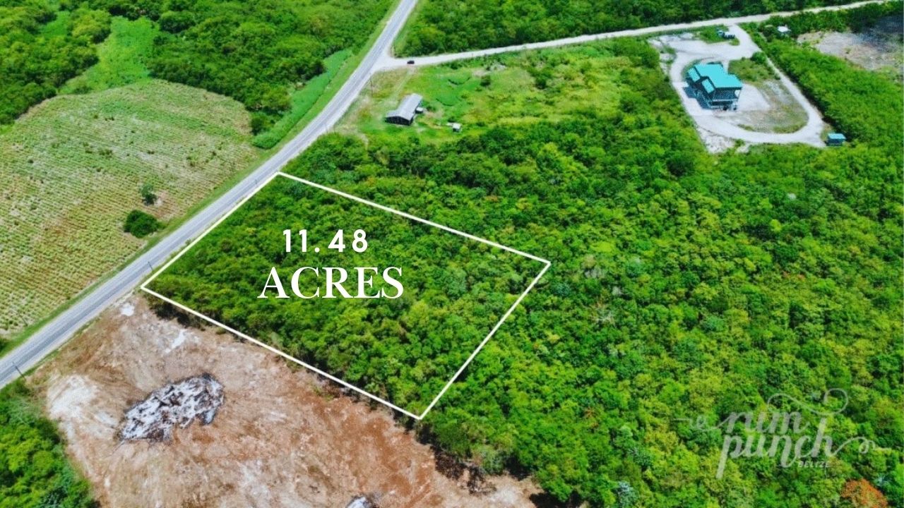 11.48 Acres – Prime Highway Frontage Land Midway Between Corozal Town & Belize-Mexico Border