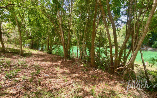 Stunning Riverfront Property Near San Ignacio – 0.46 Acres