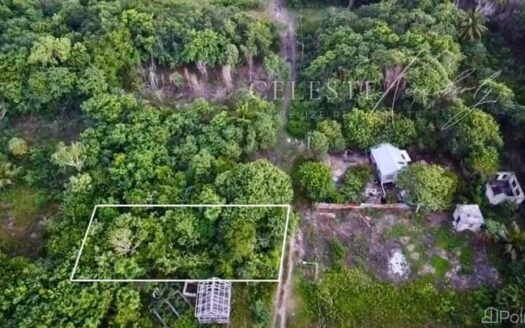 Residential Lot – Finca Solana