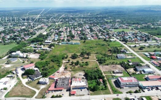 Lot #1: Prime Investment Opportunity in Belmopan