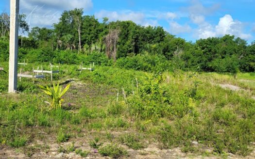 Prime haven lot 833.33 Square Yard Finca Solana, Corozal