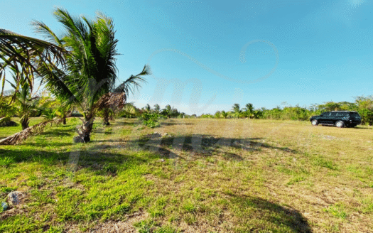 1-Acre Lot for Sale – Prime Location Near University Heights, Belmopan
