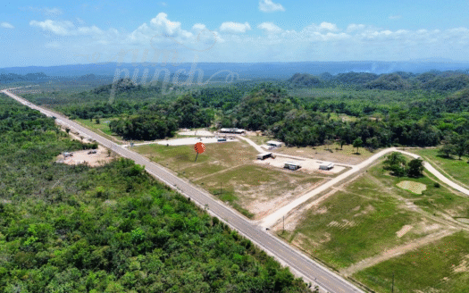 Commercial Lot – 0.51 Acres on Coastal Road, Manatee River, Belize