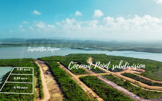 Gorgeous Waterfront Lots for Sale in Coconut Point, Belize District