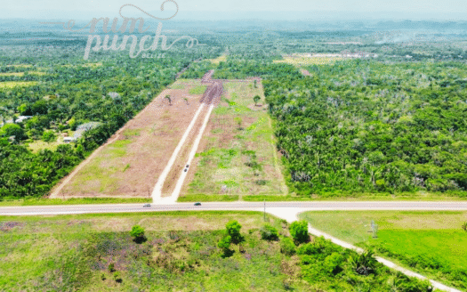 129 Acres for Sale – Prime George Price Highway Frontage, Near Cotton Tree Village