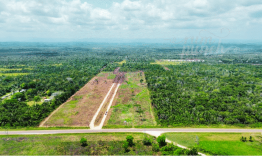 129 Acres for Sale – Prime George Price Highway Frontage, Near Cotton Tree Village