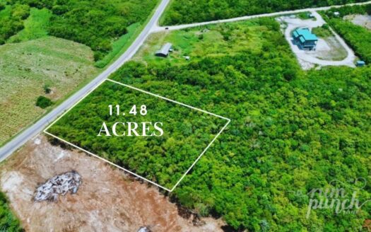 11.48 Acres – Prime Highway Frontage Land Midway Between Corozal Town & Belize-Mexico Border
