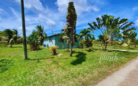 House for Sale – Mahogany Heights Village, Belize