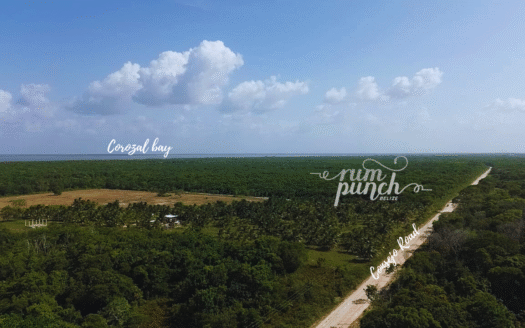 9.97 Acres for Sale on Consejo Road – Prime Investment Opportunity!