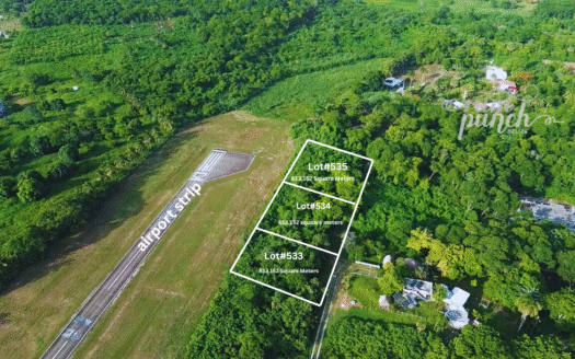 Prime Lots Available Near Ranchito Airstrip – CorozalOnly $37,500 USD Each | Financing Available