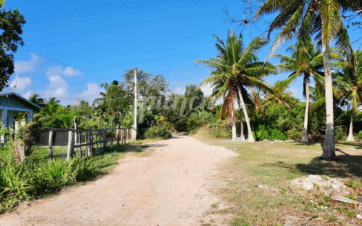 Seaside Cottage in Sarteneja – Steps from the Caribbean!