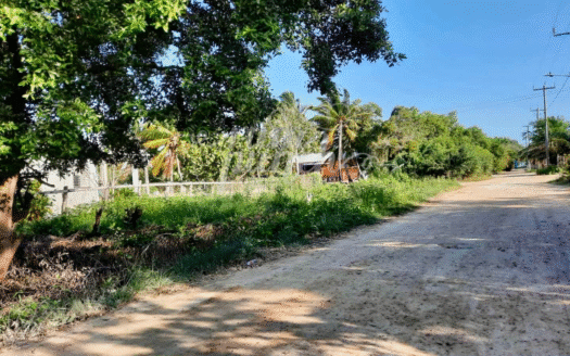 Seaside Cottage in Sarteneja – Steps from the Caribbean!