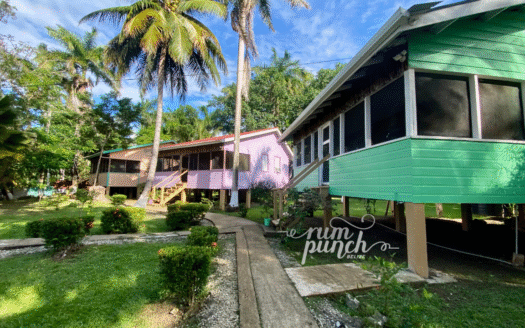 River Bend Resort Belize – Prime Jungle & River Investment 🌴🌊 $1,200,000 USD