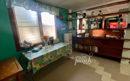 River Bend Resort Belize – Prime Jungle & River Investment 🌴🌊 $1,500,000 USD