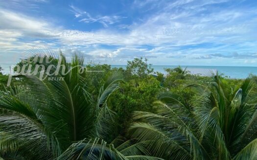 🌊 Waterview Home – North Front Street, Sarteneja Village, CorozalAsking Price: $375,000 USD