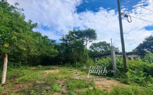 Prime Filled Lot Near Corozal Bay – Walk to Market, Park & Town 🌴🌊