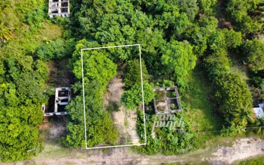 Prime Filled Lot Near Corozal Bay – Walk to Market, Park & Town 🌴🌊