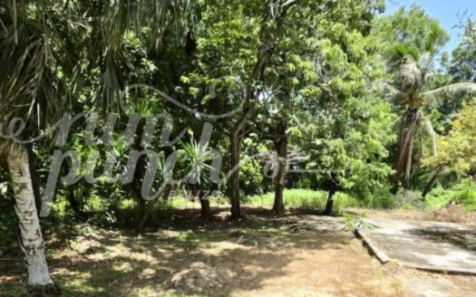 Residential Lot – Sarteneja, Belize