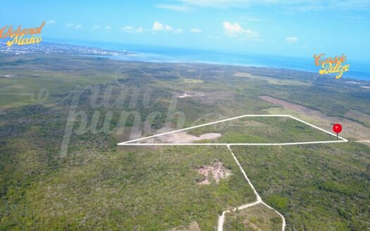 33 Acres Near Consejo Road – Fresh Water, Fertile Soil & Investment Potential