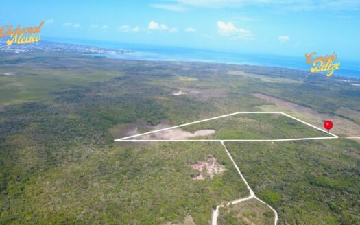 33 Acres Near Consejo Road – Fresh Water, Fertile Soil & Investment Potential