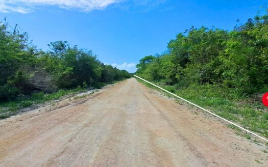 33 Acres Near Consejo Road – Fresh Water, Fertile Soil & Investment Potential