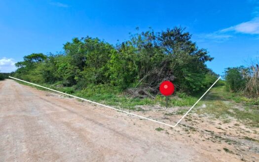 33 Acres Near Consejo Road – Fresh Water, Fertile Soil & Investment Potential
